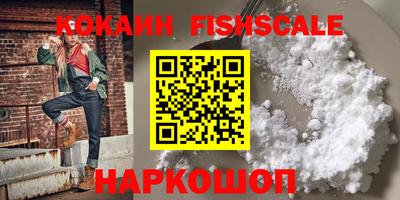 гашик Кингисепп