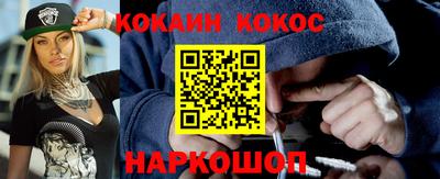 гашик Кингисепп