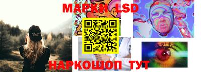 гашик Кингисепп
