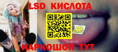 гашик Кингисепп