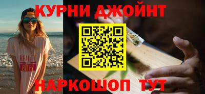 гашик Кингисепп