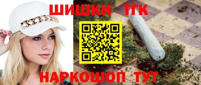 гашик Кингисепп