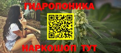 скорость Кинель