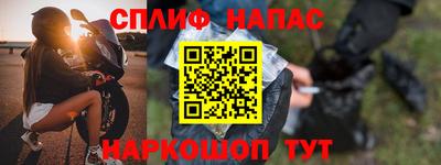 гашик Кингисепп