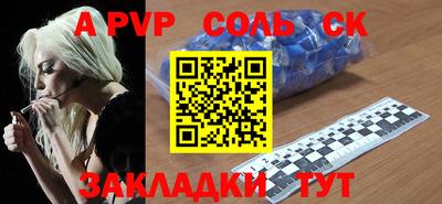 гашик Кингисепп