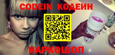 гашик Кингисепп