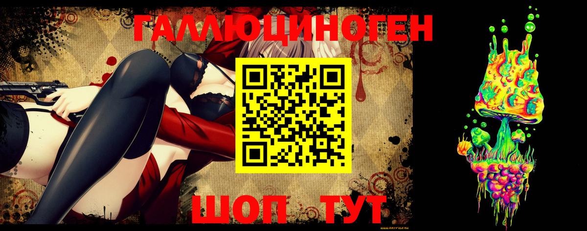 Конаково  цены   Вход с VPN  Галлюциногенные грибы Psilocybine cubensis 